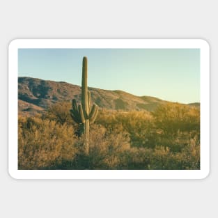 Sonoran Desert Sticker